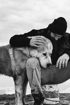 Bull Terrier Art, Dog Calendar, Dog Photoshoot, Always Happy, Man And Dog, Baby Puppies, Outdoor Dog, Dog Photography, Shepherd Dog