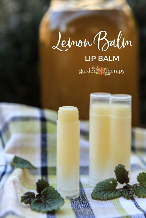 Lemon Balm Lip Balm for Cold Sores - Garden Therapy Lemon Balm Recipes, Garden Therapy, Cold Sores, Lip Balm Recipes, Natural Beauty Recipes, Diy Lip Balm, Herbal Infusion, Infused Oils, Cold Sore