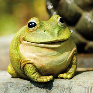 Frog Statues, Evergreen Garden, Bird Types, Frog And Toad, Outdoor Statues, Garden Statues, Animal Theme, Toad, Ebern Designs