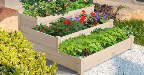 Raised 3-Tier Garden Bed Only $59.97 Shipped on Walmart.com (Regularly $100) Inexpensive Raised Garden Beds, Wooden Raised Garden Bed, Elevated Planter Box, Raised Garden Bed Kits, Elevated Gardening, Tiered Planter, Vegetable Planters, Raised Flower Beds, Tiered Garden