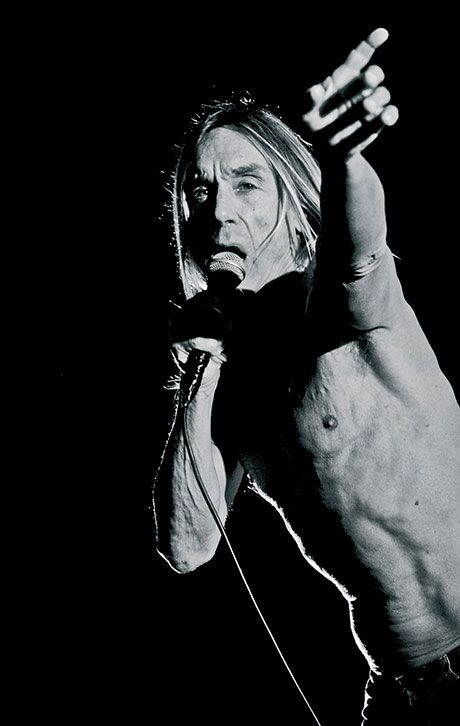 Iggy Pop Iggy Pop David Bowie, David Bowie Iggy Pop, Iggy Pop And The Stooges, Fancy Iggy, Proto Punk, Iggy And The Stooges, The Stooges, Iggy Pop, Glam Rock