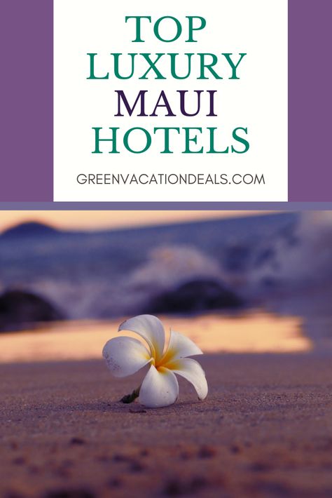 If you're looking for a luxury vacation in Maui, Hawaii, then consider one of these hotels - and find out how to get a low price for these hotels: Four Seasons, Fairmont Kea Lani, Andaz, Wailea Beach Villas, Ritz-Carlton, Grand Wailea a Waldorf-Astoria Resort, Hotel Wailea, Relais & Chateaux adults only, Montage Kapalua Bay, Ho’olei, Kaanapala Alii 433 The Royal Jewel #LuxuryTravel #Hawaii #Maui #LuxuryResort #Hawaiitravel #traveltips #traveladvice #travel #Beach #luxuryvacation #luxuryhotel Hawaii Vacation Tips, Hawaii Luxury, American Travel Destinations, Maui Hotels, Hawaiian Resorts, Wailea Beach, Hawaiian Travel, Travel Hawaii, Beautiful Beach Pictures