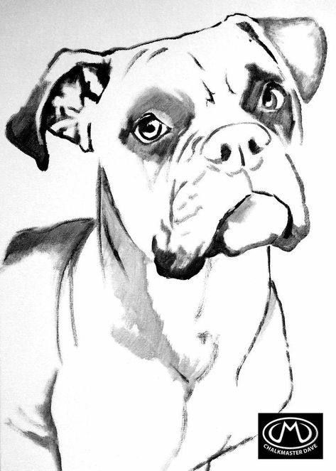 Drawing Boxer Dog, Boxer Dogs Drawing, Boxer Dog Drawing Easy, How To Draw A Boxer Dog, Boxer Outline Tattoo, Boxer Dog Sketch, Boxer Dog Tattoo Ideas, Boxer Sketch, Boxer Dog Drawing