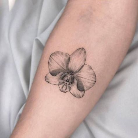 Orchid Tattoos, Orchid Flower Tattoos, Tattoo Line Art, Tattoo Line, Orchid Tattoo, Парные Тату, Human Society, Forearm Tattoo Women, Tattoo Portfolio