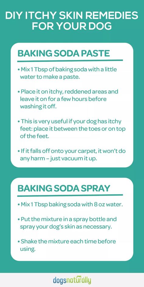 Dog Itchy Skin Remedy, Allergy Relief For Dogs, Dog Allergies Remedies, Itchy Skin Remedy, Meds For Dogs, Pet Remedies, Itchy Dog, Dog Remedies, Dog Health Tips