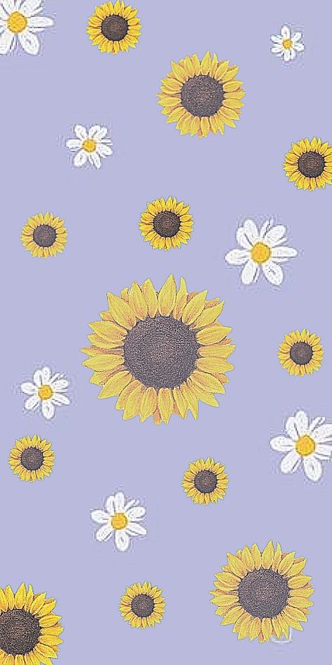 Sunflower Photography, Wallpaper Iphone Boho, Sunflowers Background, Wallpaper Iphone Love, Cute Summer Wallpapers, Pretty Phone Wallpaper, Floral Wallpaper Phone, Simple Phone Wallpapers, Sunflower Wallpaper