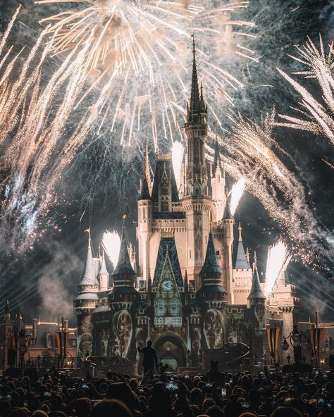 What has been your most recent fireworks show fav? Happily Ever After? Wishes? Drop it in the comments below and tell us why!  #waltdisneyworldresort #wdw #wdwresort #disneyworldresort #magickingdom Castle Wedding Decorations, Disney Castle Wedding, Magic Bars, Castle Decor, Disney Free, Fireworks Show, Pet Wellness, Castle House, Disney Castle