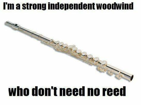 Lol. Flute Humor, Flute Jokes, Flute Memes, Funny Band Jokes, Band Puns, Lucky Ducks, Marching Band Jokes, Flute Problems, Funny Band