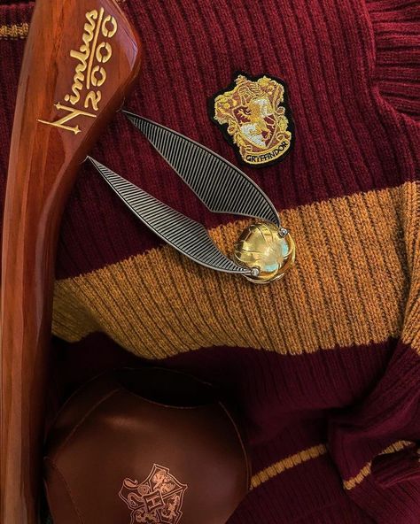 Garri Potter, Gryffindor Pride, Gryffindor Aesthetic, Harry Potter Background, Harry Potter Icons, Harry Potter Pin, Hogwarts Aesthetic, Harry Potter Tumblr, Harry James