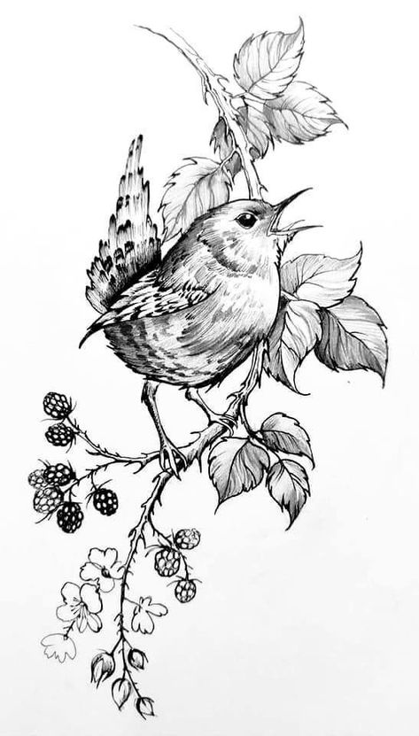 Animal Illustration Art, White Drawing, Pencil Art Drawings, Birds Tattoo, Cross Patterns, Bird Pictures, Bird Drawings, Coloring Book Art, Pen Art