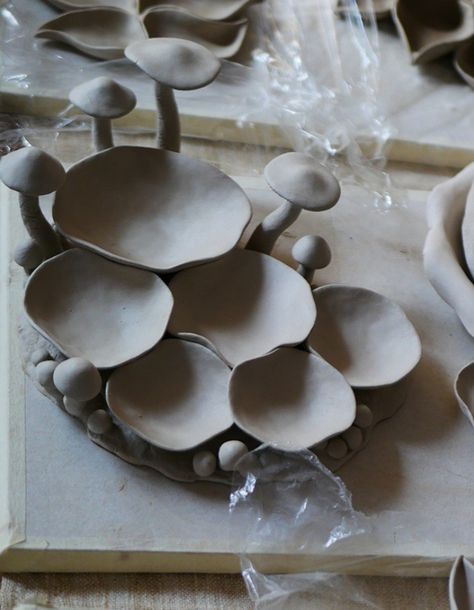 Pottery Mushrooms, Pottery Lessons, Beginner Pottery, Cerámica Ideas, Pottery Handbuilding, Hand Built Pottery, Pottery Crafts, Diy Pottery, Ceramics Pottery Art