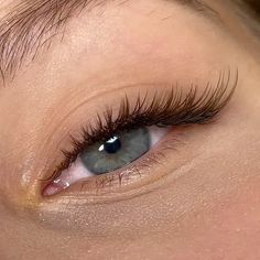 40 Lashes ideas in 2022 | natural fake eyelashes, eyelash extentions, natural eyelash extensions Perfect Eyelashes Natural, Natural Fake Eyelashes, Evening Eye Makeup, Lashes Fake Eyelashes, Perfect Eyelashes, Natural Eyelash Extensions, Eyelash Extentions, Eye Makeup Pictures, Pinterest Makeup