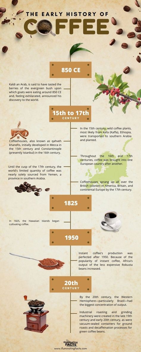 Coffee By the Numbers - Illuminating Facts Coffee Fun Facts, Wellness Initiatives, Coffee Information, Coffee Knowledge, History Of Coffee, Coffee Chart, Mural Cafe, Man Recipes, Coffee Organization