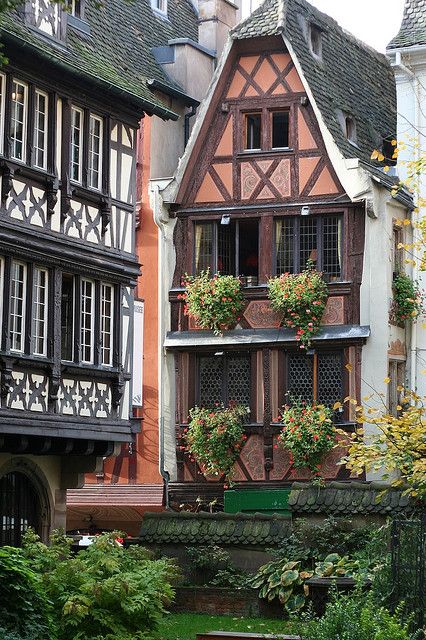 strasbourg Frozen Roses, Sweet Picture, Famous Castles, Alsace France, Strasbourg France, Grand Est, Exterior Details, European Culture, French Countryside