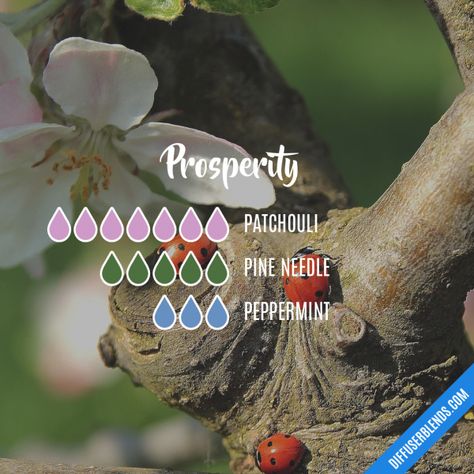 Prosperity Essential Oil Blend, Diy Essential Oil Diffuser, Eo Blends, Doterra Diffuser Blends, Essential Oils Diffuser, Essential Oil Diffuser Blends Recipes, Essential Oil Diffuser Recipes, Oil Diffuser Recipes, Essential Oil Mixes