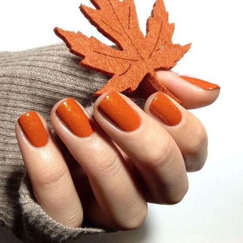 Ongles Beiges, New Nail Colors, Orange Nail, Thanksgiving Nail Art, Color For Nails, Nail Color Trends, Fall Nail Art Designs, Pumpkin Nails, Thanksgiving Nails