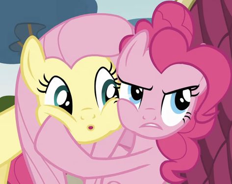 Derpy And Fluttershy, Pinky Pie Icon, Pinky Pie And Fluttershy, Pinkie Pie X Fluttershy, Fluttershy X Pinkie Pie, My Little Pony Matching Pfp, Pinkie And Fluttershy, Mlp Matching Pfp, Fluttershy And Pinkie Pie