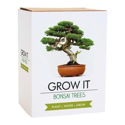 Grow different types of bonsai trees in your own home. Growing your bonsai trees is simple - everything you need is inside this gift box including starter growing pots, compost discs, seeds and a booklet containing growing tips. 4 packets of mixed bonsai seeds 5 starter growing pots made from coconut husk 5 natural coconut husk compost discs which expand when watered 5 wooden plant markers Your growing instructions booklet Chinese Elm Tree, Tree Miniature, Bonsai Tree Types, Beautiful Bonsai, Play Garden, Bonsai Seeds, Elm Tree, Tree Growing, Grow Kit