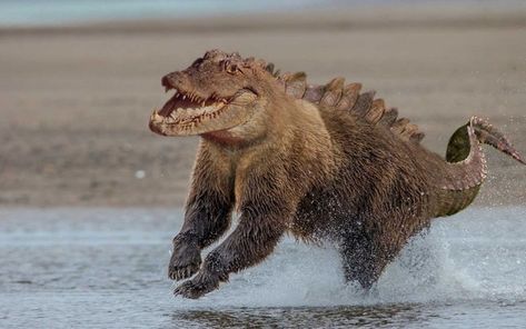 Animal Mashups, Photoshopped Animals, Bizarre Animals, Creepy Animals, 캐릭터 드로잉, Weird Creatures, Weird Animals, An Animal, Creature Design