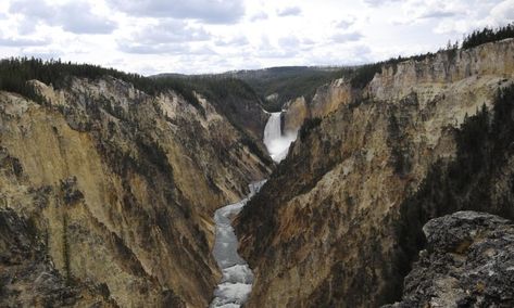 Canyon Village, Yellowstone National Park - AllTrips Wyoming Travel, Yellowstone River, American Road, National Parks Trip, The Grand Canyon, Yellowstone National, Travel Deals, Yellowstone National Park, Oh The Places Youll Go