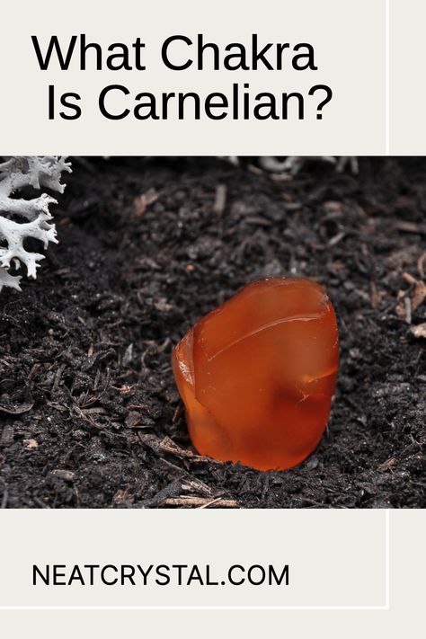 Tips on choosing carnelian jewelry to best energize and heal the sacral chakra. Wearing Crystals, Giving Hands, The Sacral Chakra, Carnelian Jewelry, Lower Abdomen, Emotional Body, Free Facebook, Medical Help, Deep Red Color