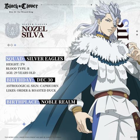 Nozel Silva, Wizard King, Kirishima Eijirou, Mobile News, Character Profile, Black Clover Anime, Silver Eagles, Anime Child, The Wizard