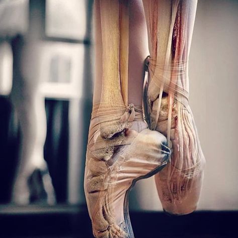 Ballet Injuries, Muscles Anatomy, Foot Anatomy, Ballet Legs, April Art, Ballet Technique, Anatomy Physiology, Ballet Photography, Medical Illustration