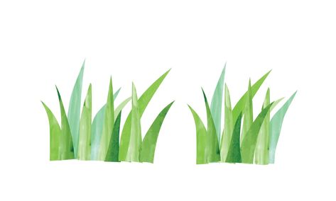 Grass Watercolor, Watercolor Floral Background, Rabbit Images, Grass Clipart, Sketchbook App, Grass Drawing, Cartoon Garden, Garden Grass, Grasses Garden