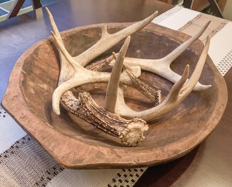 Antler Bowl Centerpiece, Decorating With Antlers, Drapery Tie Backs, Deer Horns, Deer Skull, Deer Skulls, Deer Antler, Deer Antlers, Centerpiece Bowl