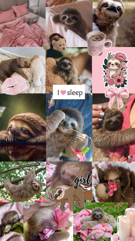 Sloth Aesthetic, Cute Sloth Pictures, Cute Sloth, Pink Aesthetic, Sloth, Pink