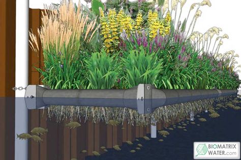 Floating Wetland, Outdoor Gardens Landscaping, Conservation Of Natural Resources, Ecology Design, Eco Garden, Floating Garden, Garden Flower Beds, Pond Water Features, Floating Plants