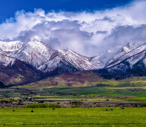 Billings, the largest city in Montana, is often overshadowed by its famous neighbor, Yellowstone National Park. But Billings is a phenomenal destination with a fantastic mix of history, culture, art, and nature. Here's what to see and do when you're in town. Montana Vacation, Billings Montana, Montana Usa, America The Beautiful, Indoor Waterpark, Mountain Living, Mountain Modern, Travel Bug, Vacation Places