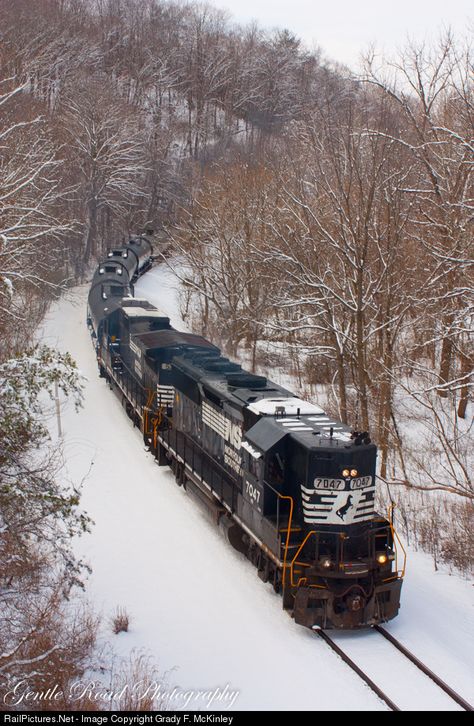 Frieght Trains, Train Tracks Photography, Southern Trains, Scenic Railroads, Railroad Pictures, Rail Transport, Southern Railways, Norfolk Southern, Railroad Photography