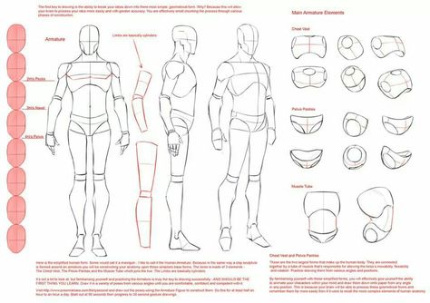 Mannequin break down Mannequin Drawing, Figure Construction, Male Anatomy, Human Body Drawing, Comic Book Drawing, Drawing Body Poses, Sketch Poses, Human Anatomy Drawing, Body Drawing Tutorial