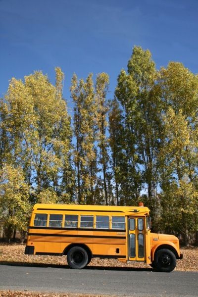 This is a 1979 GMC Blue Bird school bus that doubles as a vintage store and road-tripping DIY motorhome for British Columbia couple, Marco Khalil and Caroline West. Inside what seems to be an ordin… School Bus Tiny House, School Bus Camper, Backyard Cabin, Classroom Accessories, Old School Bus, Short Bus, Bus Living, School Bus Conversion, Bus House