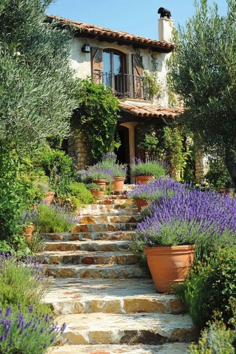 Mediterranean Garden Plants Selection is a beautiful and eco-friendly choice for any garden! 🌿🌞 Choose from a variety of drought-tolerant plants that thrive in warm climates, offering a stunning and sustainable way to enhance your outdoor spaces. Low-maintenance and rich in Mediterranean flair, these plants are perfect for creating a serene and inviting environment. Cultivate Mediterranean beauty today! 🌺🌵 #MediterraneanPlants #EcoFriendlyLiving #GardenDesign #OutdoorBeauty Country Porch Decor, Mediterranean Cottage, Sustainable Garden Design, Mediterranean Beauty, Mediterranean Gardens, Mediterranean Garden Design, Italy House, Mediterranean Plants, Country Porch