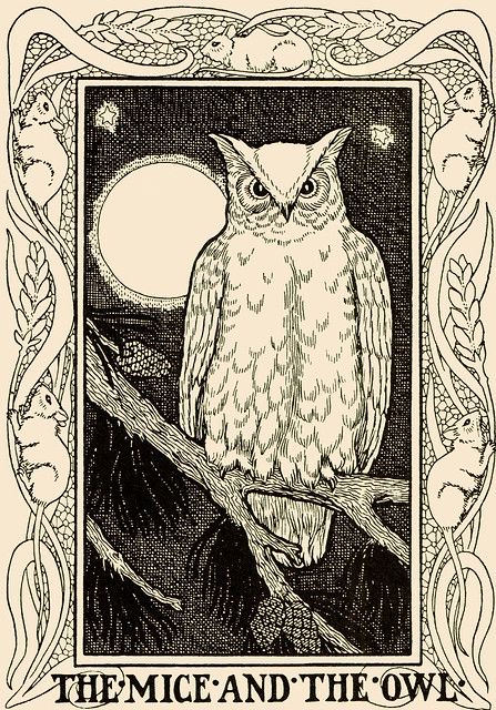 Owl Illustration, Owl Collection, Gustave Dore, Drawing Examples, Owls Drawing, Japon Illustration, Owl Bird, Vintage Owl, Ink Drawing Illustration