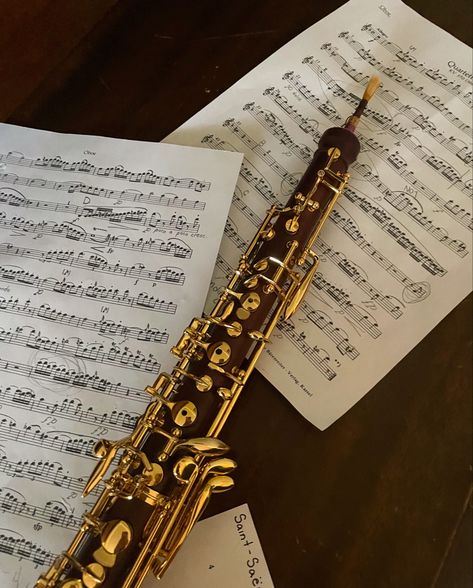 Oboe Aesthetic, Musician Photography, Instruments Art, Woodwind Instruments, Band Geek, Music Collage, Music Motivation, Music Student, Love Band