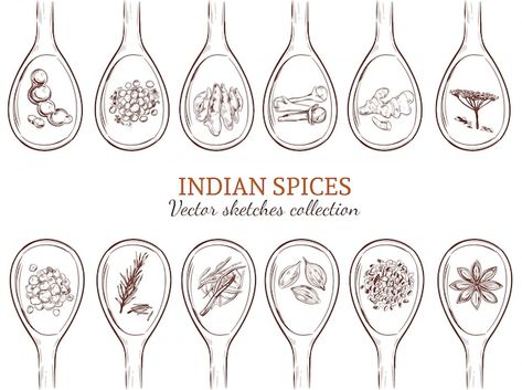 Garam Masala Spice, Traditional Indian Food, Herb Labels, Coffee Doodle, Saffron Flower, Logo Hipster, Spice Set, Spice Shop, Abstract Hand