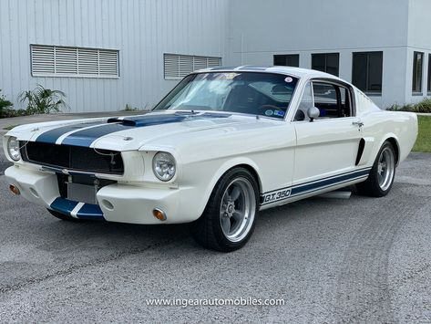 1965 Ford Mustang Shelby Gt350r Tribute! Super Fast! See Video! 1965 Ford Mustang Fastback Shelby Gt350 R Similar To 1966 1967 1968 Price : $ 83,900 Category : Mustang Condition : Used Location: 331**, Miami,FL,USA Visit listing » Shelby Gt350r, 65 Mustang, 1965 Ford Mustang, Shelby Gt350, Mustang For Sale, Ford Mustang For Sale, Ford Mustang Fastback, Pimped Out Cars, Crate Engines