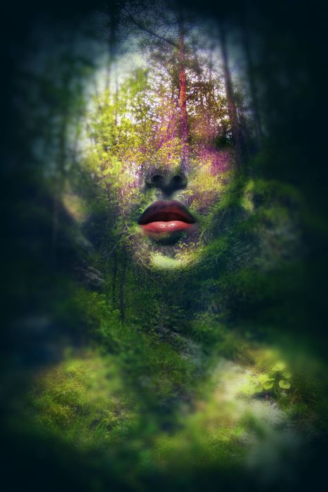 Buy Atropine by Federico Bebber from Italy, a limited edition art print series printed on high quality archival Epson paper, For sale, Limited edition of 60, Price is $150, Size is 12 x 8 in Image Nature, Soyut Sanat Tabloları, Arte Fantasy, Limited Edition Art Print, Limited Edition Art, Double Exposure, Surreal Art, In The Woods, Mother Nature