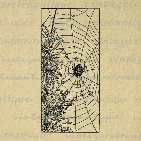 Spider On Spider Web, Motifs Art Nouveau, Image Graphic, Tiny Tattoo, Next Tattoo, Business Sales, Diy Tutorials, Graphic Image, Spider Web