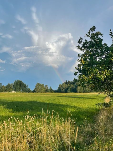 peaceful summer afternoon Summer Afternoon Aesthetic, Afternoon Aesthetic, Peaceful Summer, Sunny Afternoon, Summer Afternoon, Daily Motivation, Sunny Day, Summer Aesthetic, Pretty Face