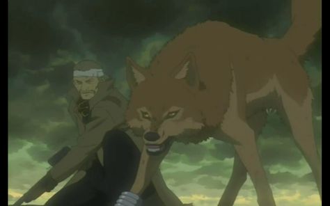 wolf's rain- Toboe - Google Search Crispin Freeman, Johnny Yong Bosch, Wolf’s Rain, Wolf's Rain, Mamoru Miyano, Allen Walker, July 28, Human Form, The Pack