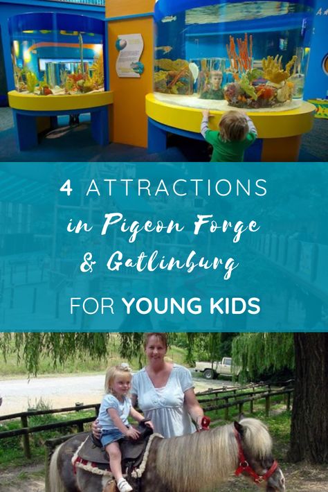 4 Attractions in Pigeon Forge and Gatlinburg for Young Kids Pigeon Forge With Toddler, Gatlinburg Pigeon Forge Itinerary, Gatlinburg With Toddlers, Gatlinburg With Kids, Pigeon Forge With Kids, Gatlinburg Tennessee With Kids, Pigeon Forge Tennessee Cabins, Dolly Wood, Gatlinburg Tennessee Restaurants