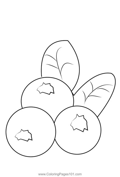 Blueberris 3 Coloring Page Blueberry Coloring Page, Blue Berries Drawing, Blueberries Drawing, Blueberry Drawing, Fruits Drawing, Drawing Ideas List, Unicorn Printables, Blue Fruits, Unicorn Coloring Pages