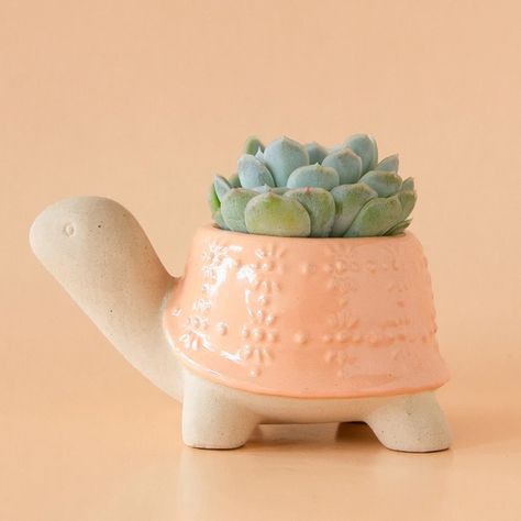 This adorable, ceramic turtle planter is sure to brighten your day! Cacti Arrangement, Aesthetic Ceramics, Turtle Planter, Unglazed Pottery, Zine Ideas, Bedroom Board, Cactus Arrangement, Ceramic Pinch Pots, Small House Plants