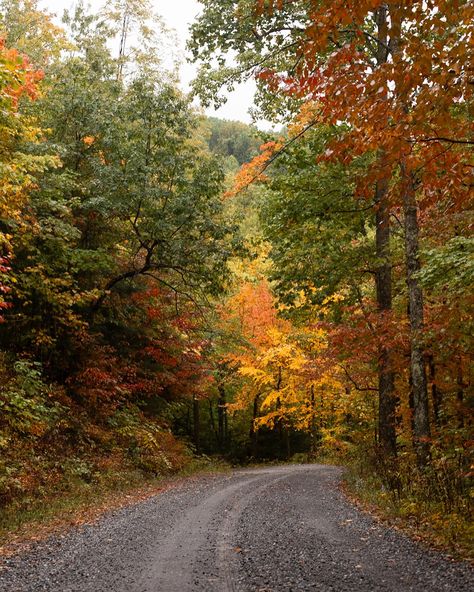 🧡Autumn colors in the 📍U.S. 🍂New Hampshire 🍁Washington D.C. 🍂Vermont 🍁North Carolina ✨Where are you going this fall? Fall travel ideas, leaf peeping, fall foliage #falltravel #newenglandfall #blueridge #whitemountains #vermontfall #leafpeeping #franconianotch Franconia Notch, Vermont Fall, Leaf Peeping, New England Fall, White Mountains, Fall Travel, Autumn Colors, Fall Foliage, Blue Ridge