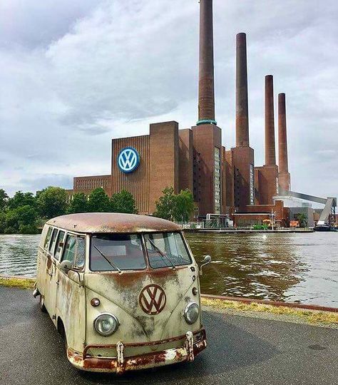 Vw Samba Bus, Van Hippie, Vw Camper Conversions, Vw Bus T1, Volkswagen Aircooled, Volkswagen Van, Vintage Vw Bus, Combi Volkswagen, Vw Bus Camper