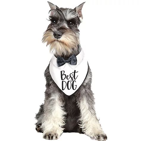 Wedding Party Gifts | Party City Black And White Bandana, Dog Wedding Bandana, White Bandana, Dog Bandanna, Wedding Scarf, Bandana Bow, Halloween Costume Shop, Black Bow Tie, Pet Scarf